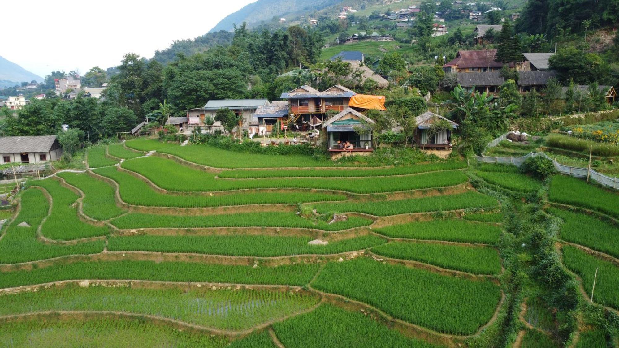 Goong House Hostal Sapa Exterior foto